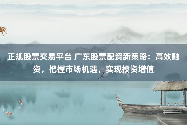 正规股票交易平台 广东股票配资新策略：高效融资，把握市场机遇，实现投资增值