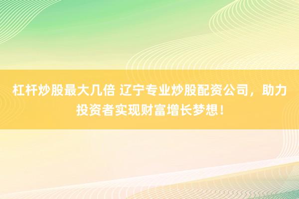 杠杆炒股最大几倍 辽宁专业炒股配资公司，助力投资者实现财富增长梦想！