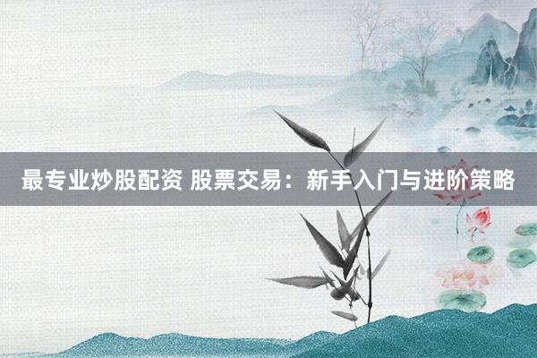 最专业炒股配资 股票交易：新手入门与进阶策略