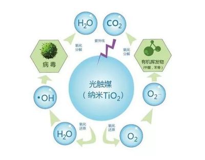 创绿家除甲醛加盟费用